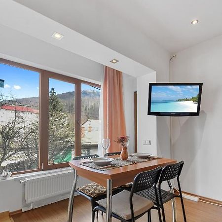 Cozy Montain Studio Apartment Sinaia Ngoại thất bức ảnh