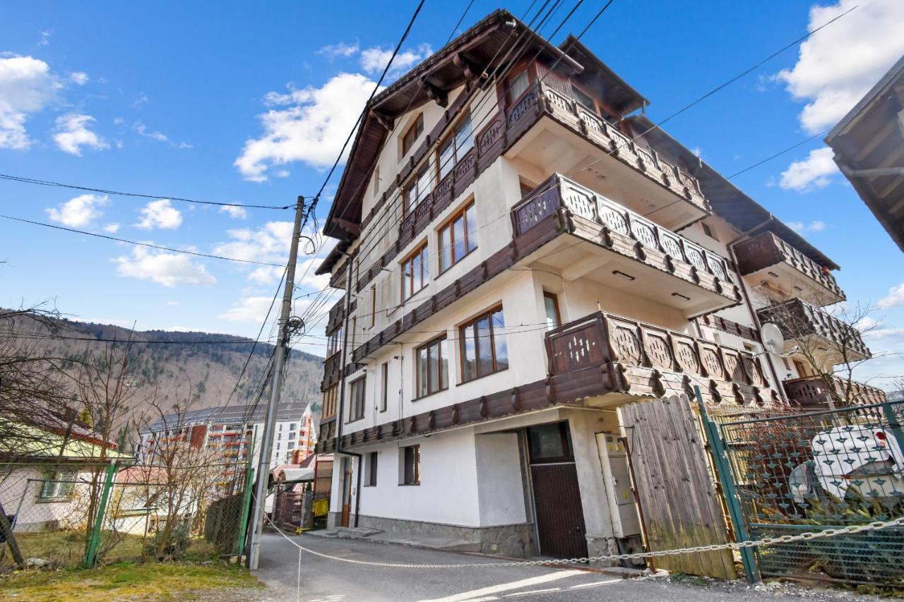 Cozy Montain Studio Apartment Sinaia Ngoại thất bức ảnh