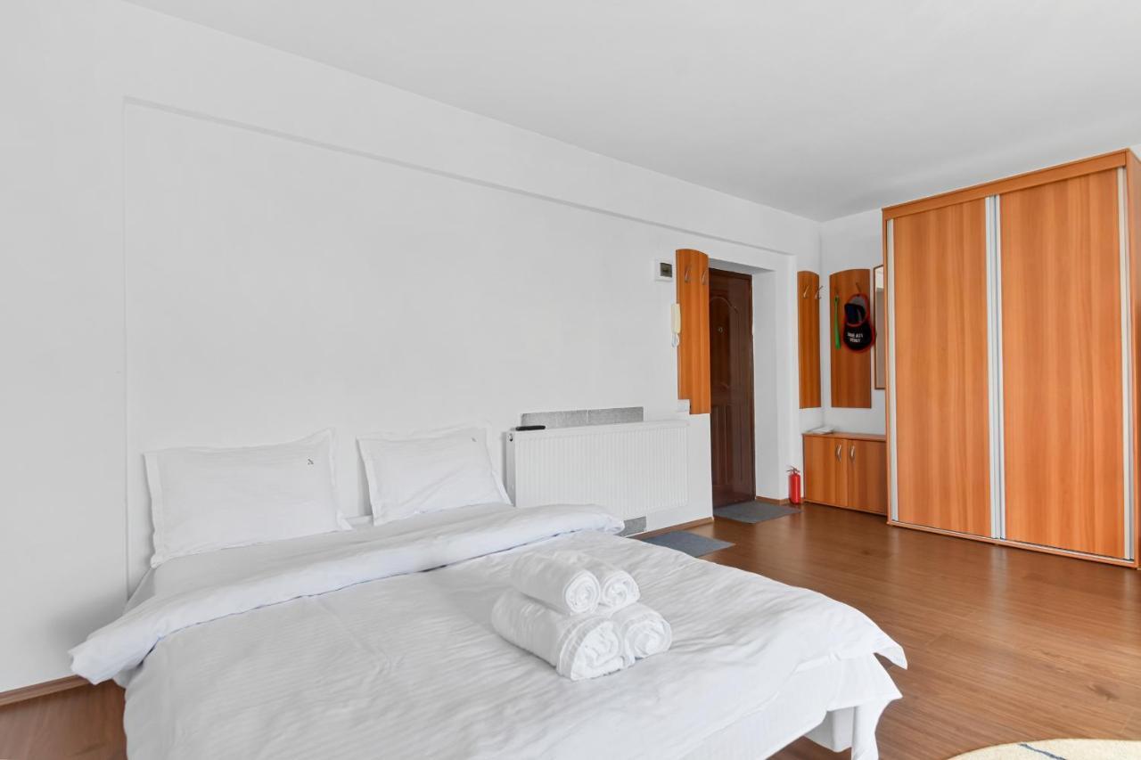 Cozy Montain Studio Apartment Sinaia Ngoại thất bức ảnh